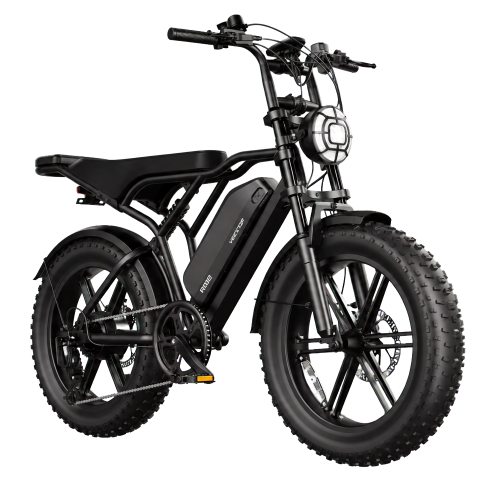 eRides R002 Urban Cruiser eBike