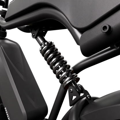 eRides R002 Urban Cruiser eBike