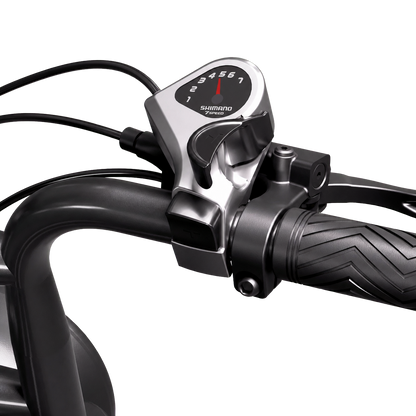 eRides R002 Urban Cruiser eBike